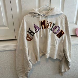 champion 2xl cropped hoodie